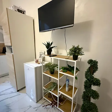 - A Pochi Passi Dal Centro Storico * Ferrara