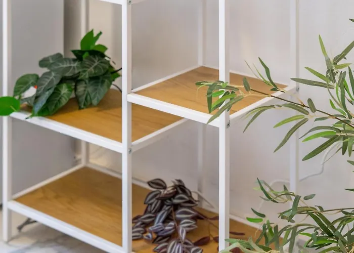 - A Pochi Passi Dal Centro Storico Apartament